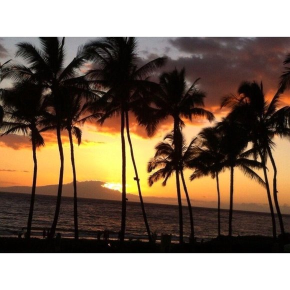 New Starbucks Pineapple Tumbler Hawaiian Exclusive - Picture 4 of 8